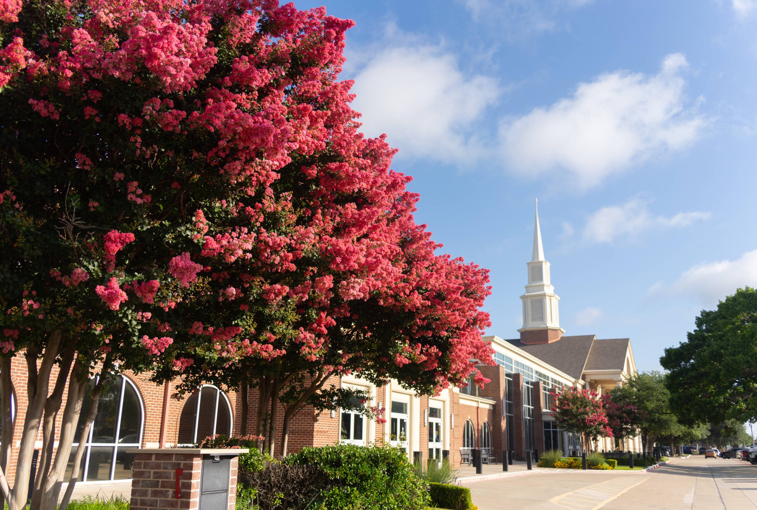 Custer Road UMC Plano Texas